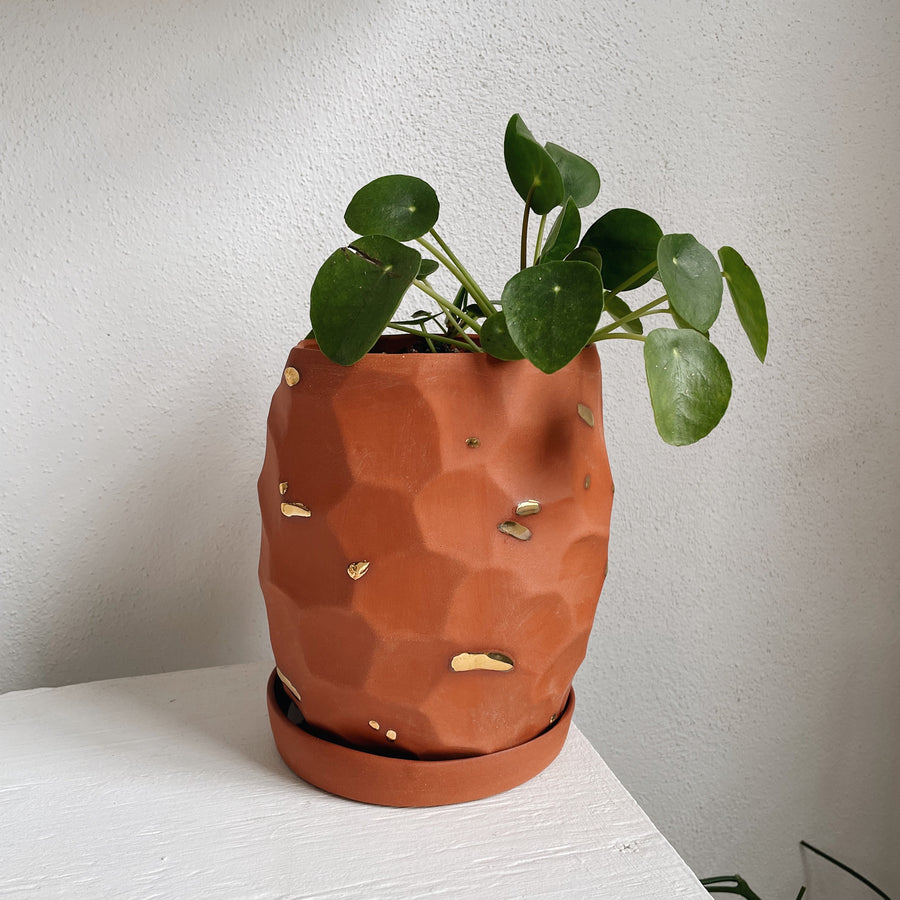 Terracotta Planter No. 4