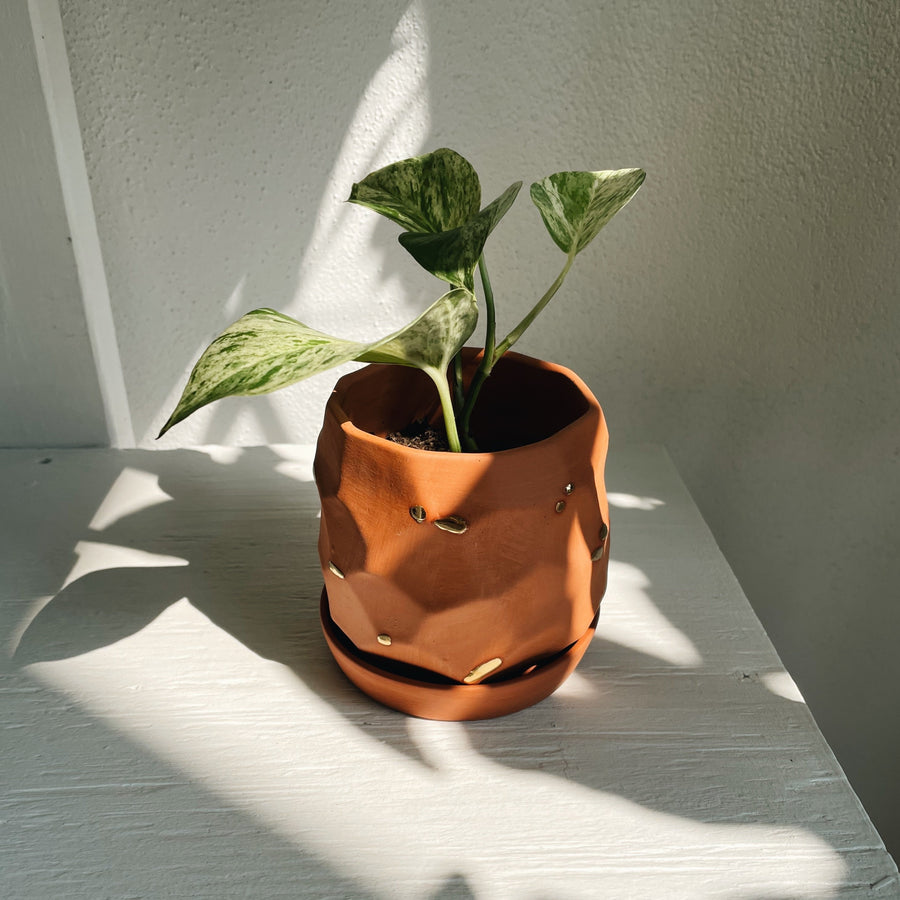 Terracotta Planter No. 1