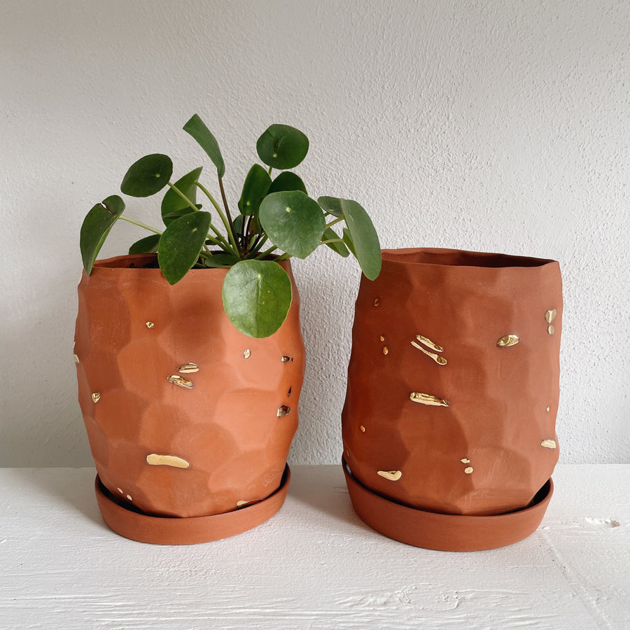 Terracotta Planter No. 4