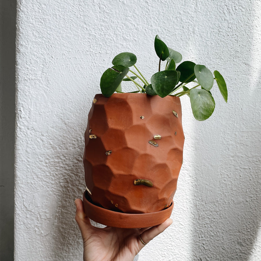 Terracotta Planter No. 4